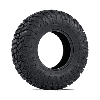 EFX MOTOVATOR