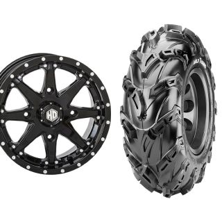 HD10 lustré et CST Wild Thang